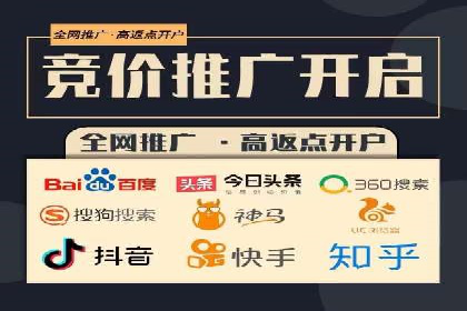 专业SEM服务托管方案案例分析
